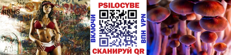 Псилоцибиновые грибы прущие грибы цены наркотик МЕГА ONION Галич
